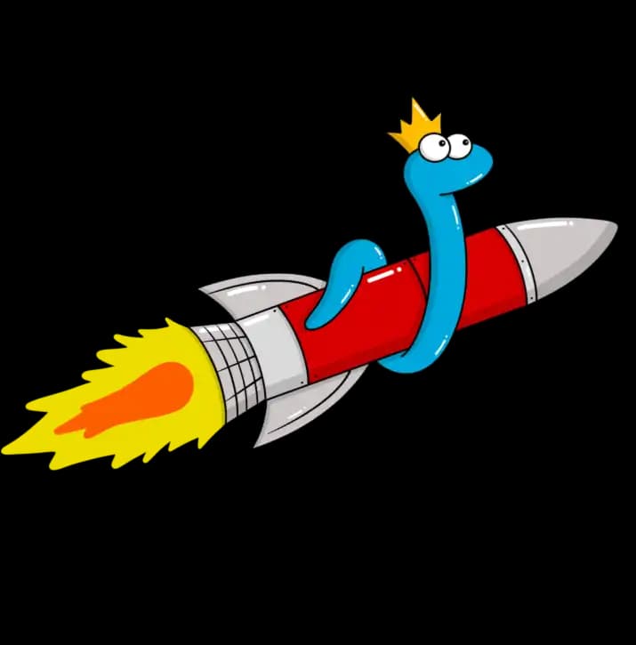 Mamba on rocket